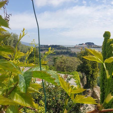 Casa Di Ingrida Bussana Vecchia Villa Sanremo Ngoại thất bức ảnh