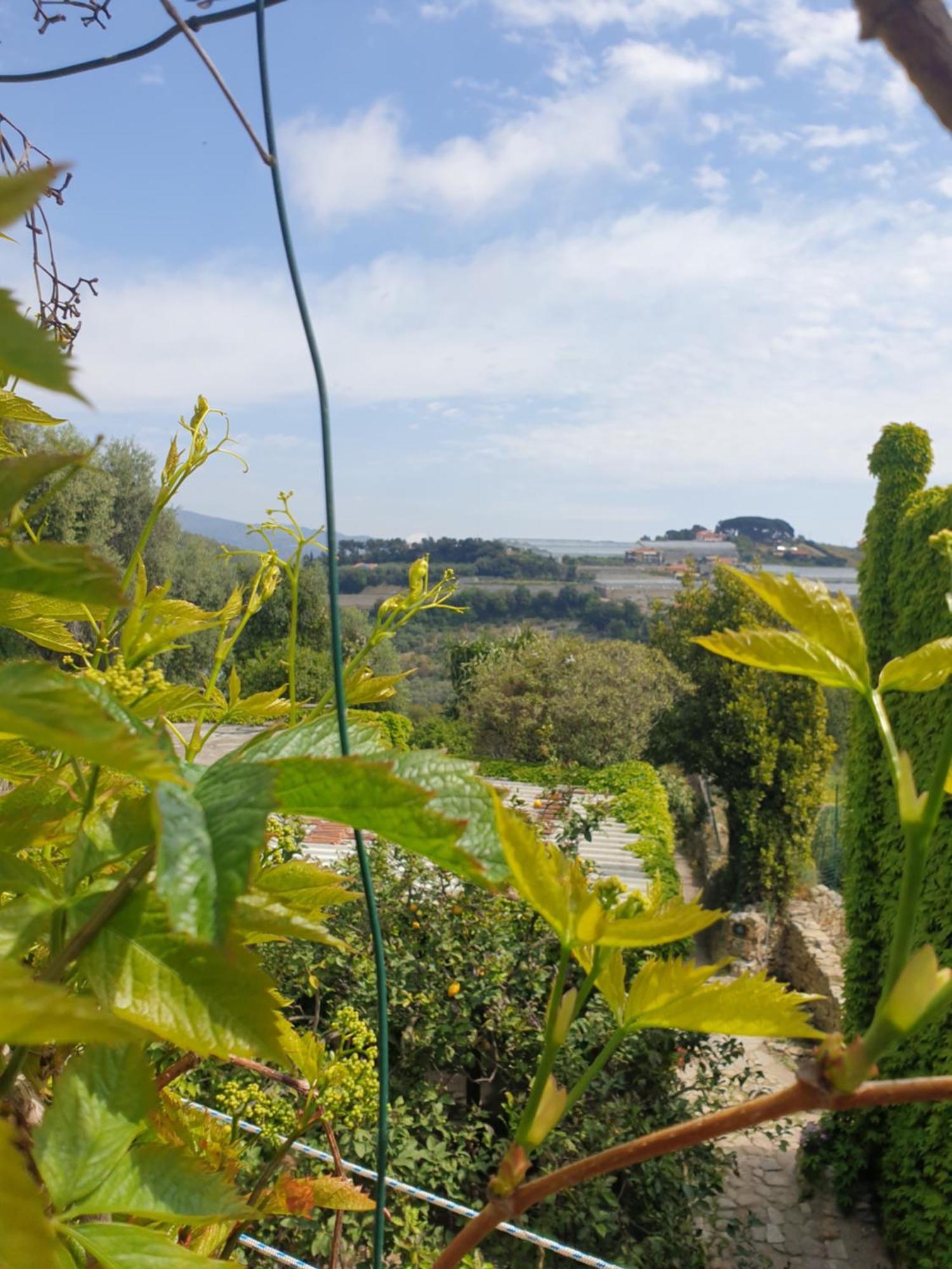 Casa Di Ingrida Bussana Vecchia Villa Sanremo Ngoại thất bức ảnh